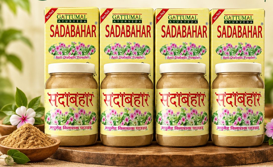 SADABAHAR Combo - Pack of 4 - 200g each